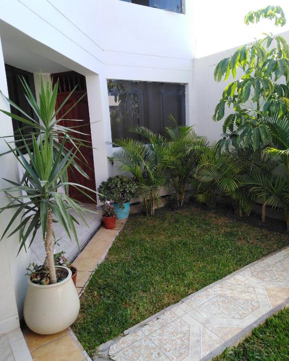 Pisco House | La Posada Dmary