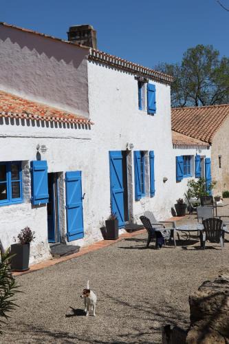 Bois-de-Cene Bed & Breakfast | La Solitude