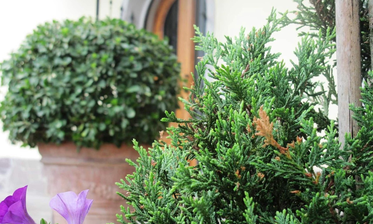 Campi Bisenzio House | La Spiga