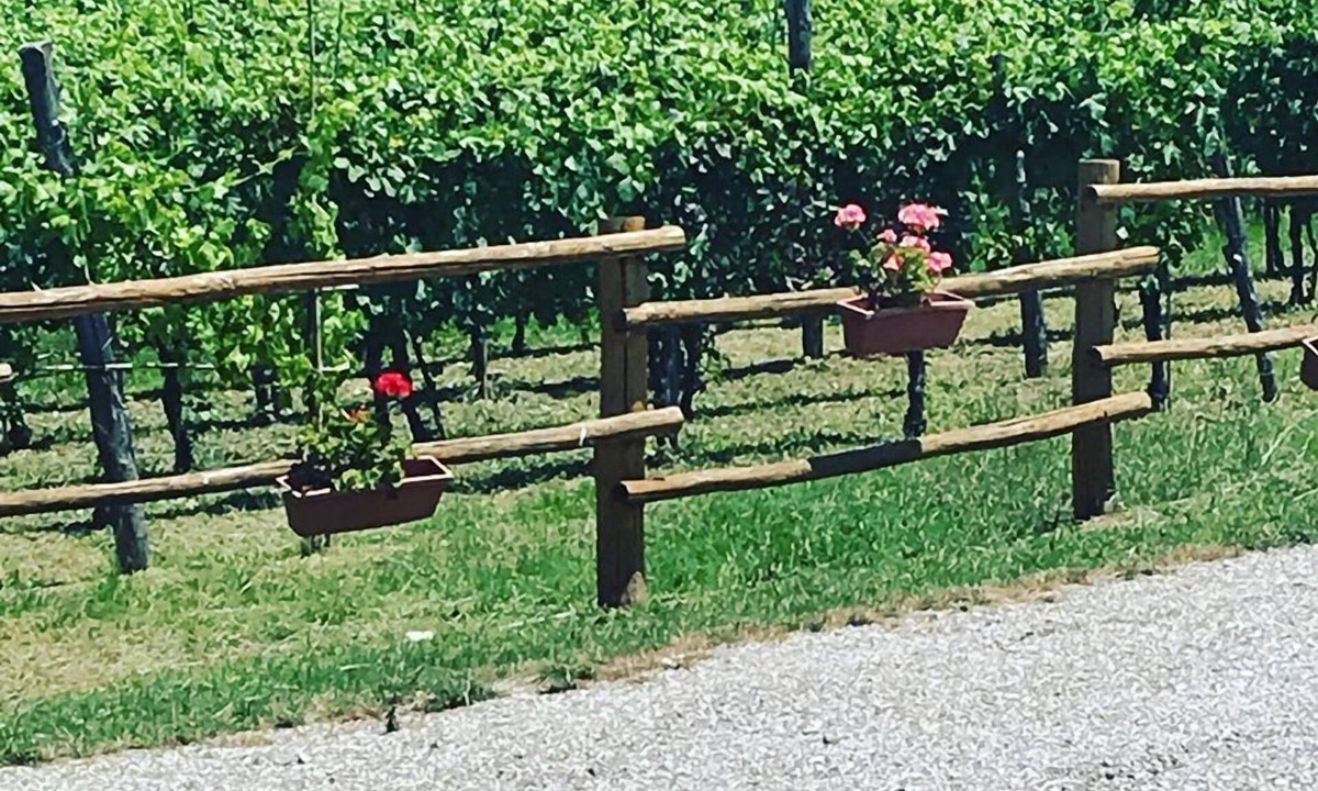 Roccagloriosa Bed & Breakfast | La Timpa del Cucco