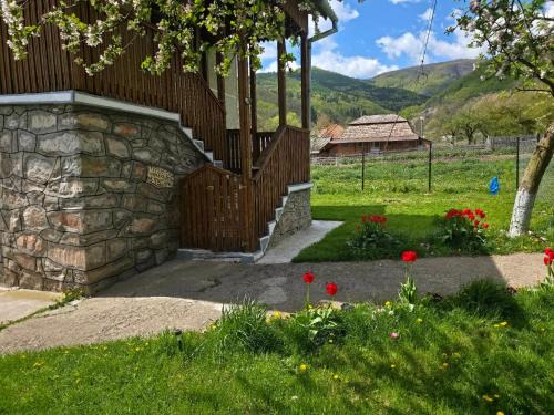 Ocolis House | La Umbra Muntilor Traditional House - hot tub included