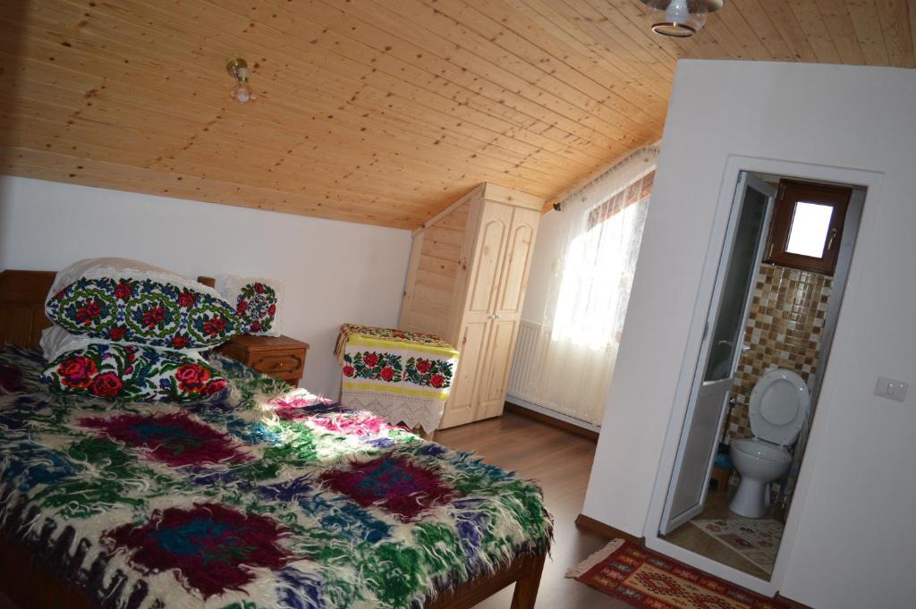 Mara House | La Vasile la Cazan