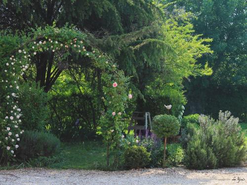 Treviso House | La Vigna B&B