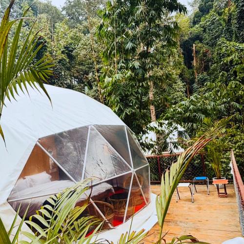 North Point Other | Laalsa Retreat