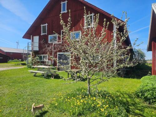 Motala House | Ladan