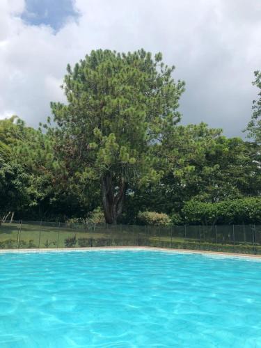 Calima Hotel | Lago Calima Hostel