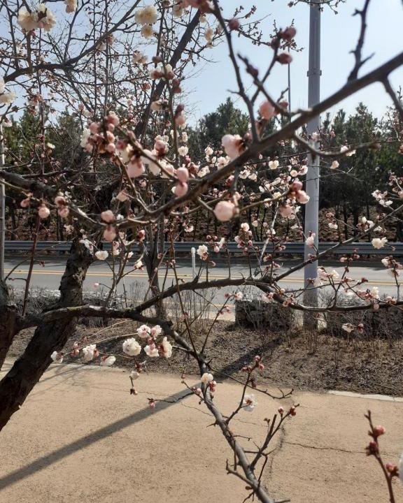 Chuncheon House | Lahoja Pension