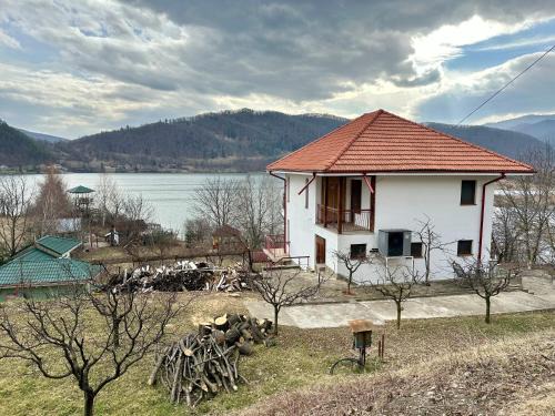 Viisoara House | Lake House