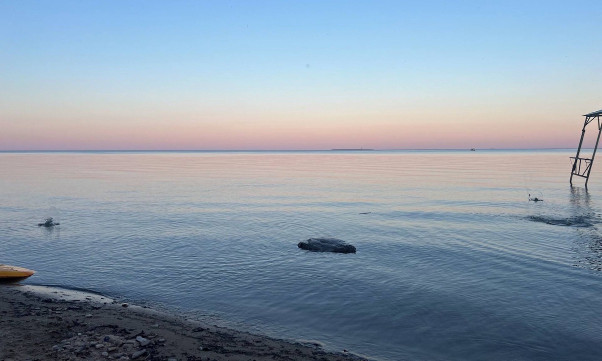 Au Gres House | Lake Huron view just a minute walk to private sandy beach.