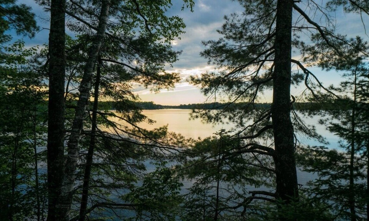 Cable Condo | Lakefront 2BR Condo on Namakagon – Views, Trails, Pontoon Rentals & Fishing!
