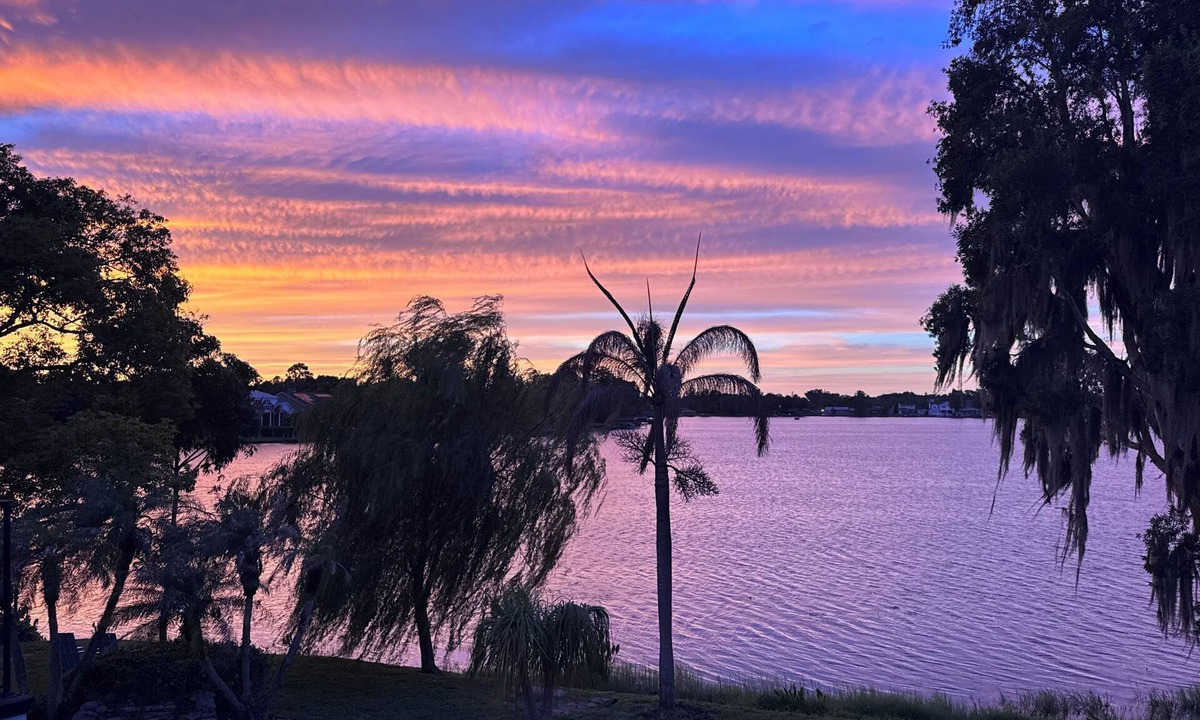 College Park Apartment | Lakefront Artist's Studio- Relax in Luxury!