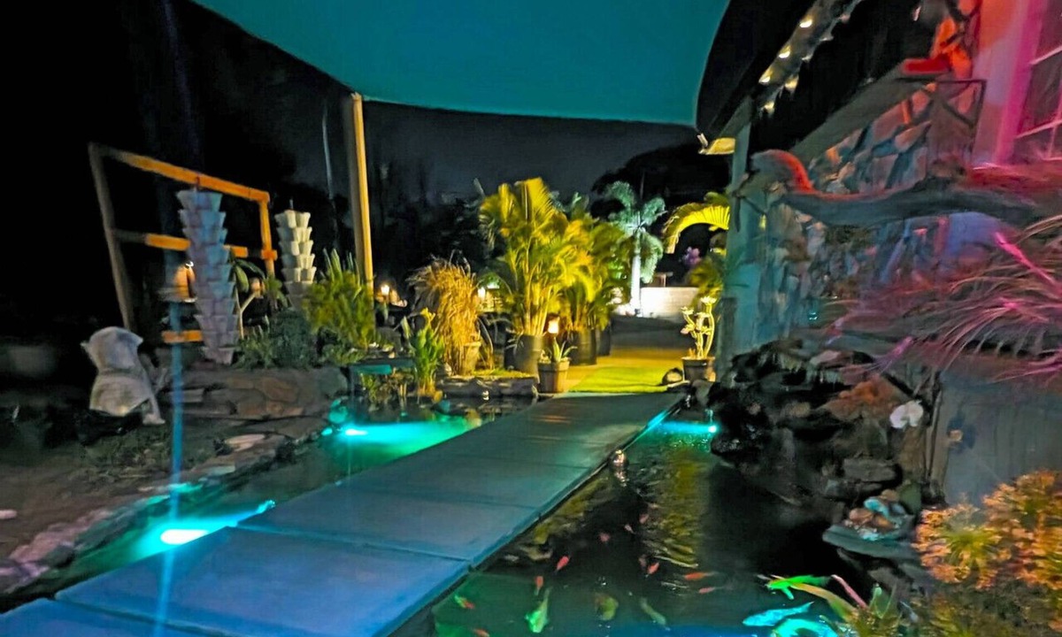 Orlando House | Lakefront Luxury pool 3100sq ft on lake.