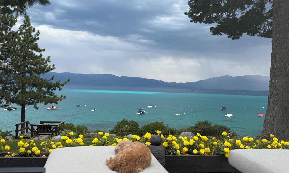 Meeks Bay House | LAKEFRONT ~ PRIVATE PIER ~ PICKLEBALL ~ Lakeside LAWN ~ BUOY ~ TOYS~ Dog OK