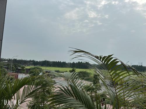 Tu Son Hotel | Lala hotel
