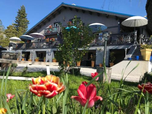 Caille Bed & Breakfast | L’Alpen Roc