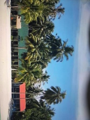 Katiet House | Lances right surf camp