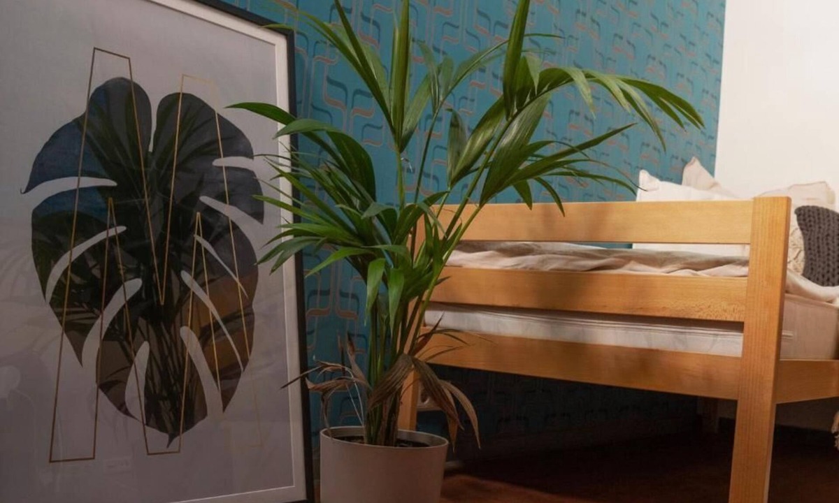 Altenessen-Nord Hostel | LaOla Living - Hostel