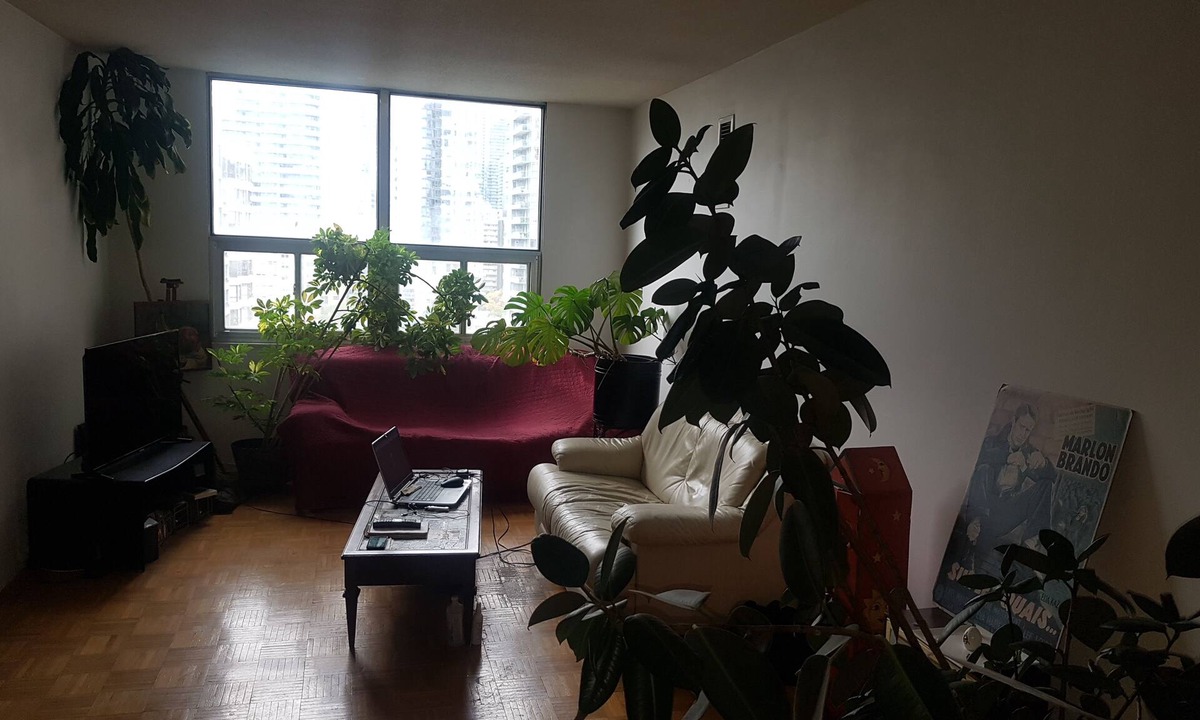 Church and Wellesley Apartment | Large, bright apartment downtown near Maple Leaf Gardens. Pet-Friendly