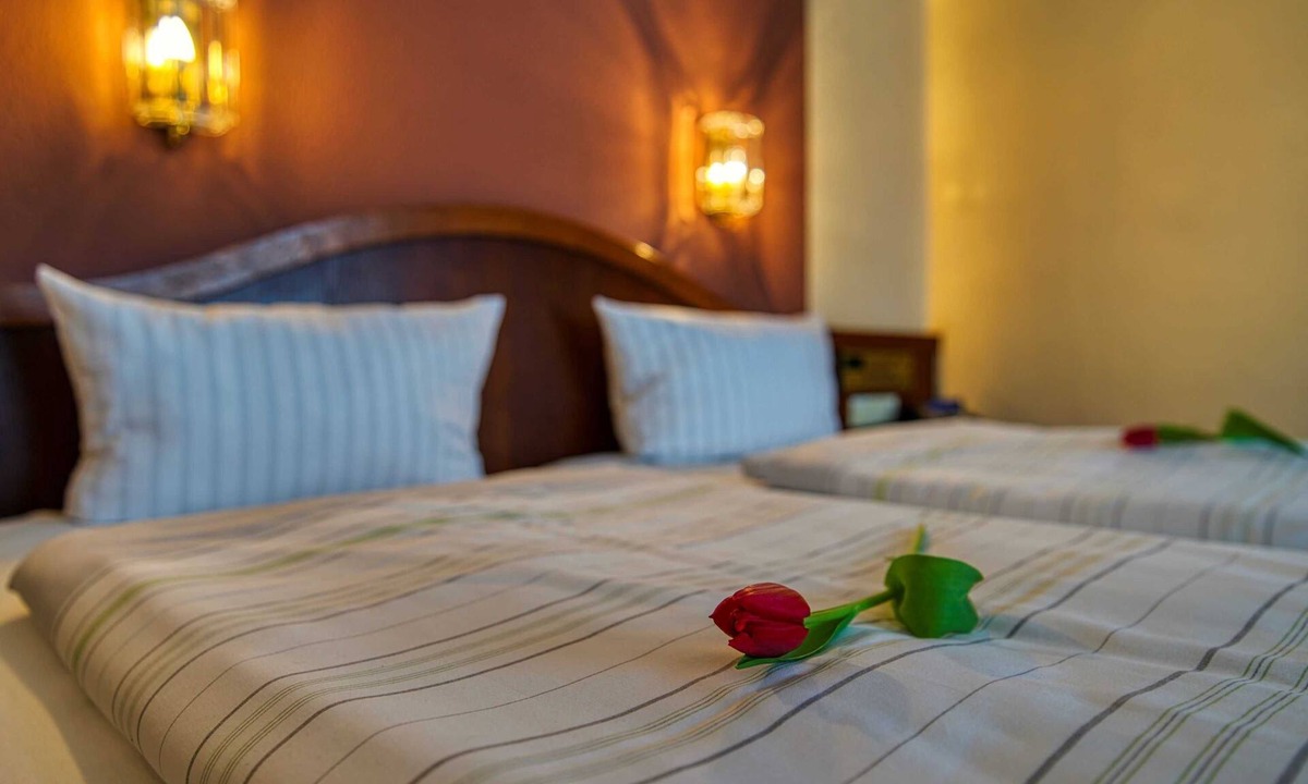 Bad Windsheim House | Large double room - Reichels Parkhotel