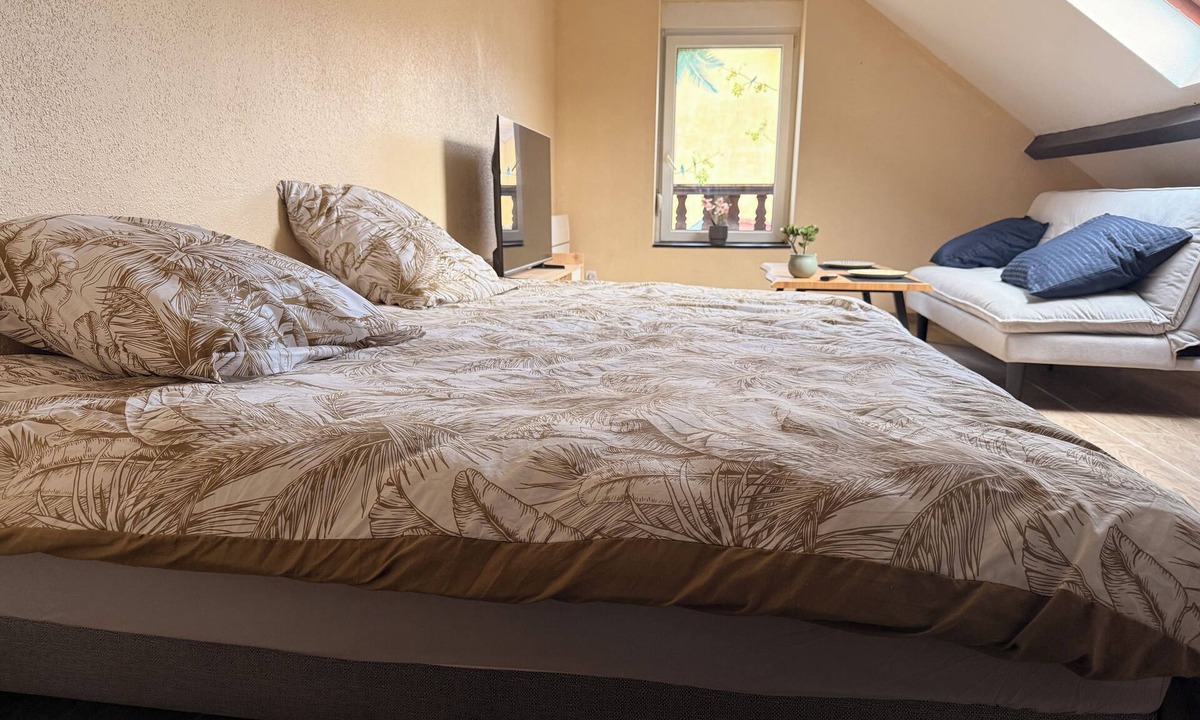 Belfort Bed & Breakfast | Large studio with jacuzzi/spa/balneo