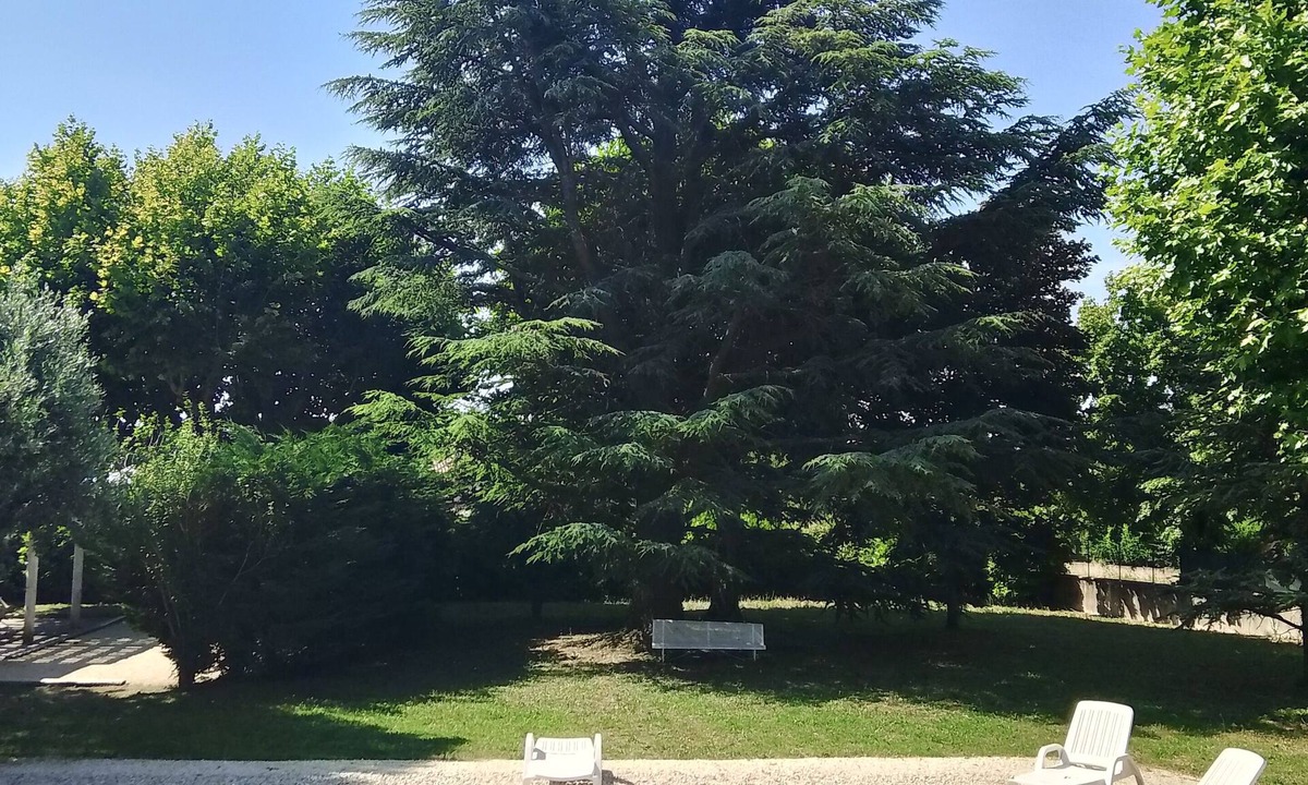 Chamaret Villa | Large villa with 4 bedrooms and bathroom with swimming pool and shady park.