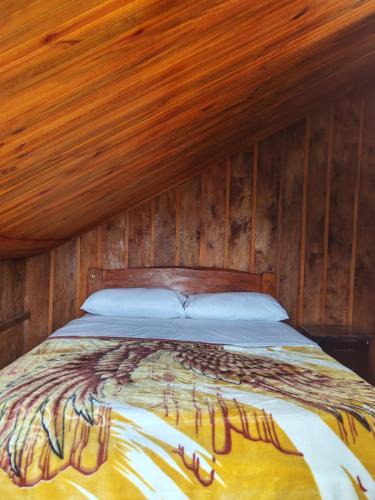 Purace Cabin | Las Bromelias