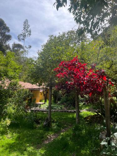 Urubamba Cabin | Las Chullpas