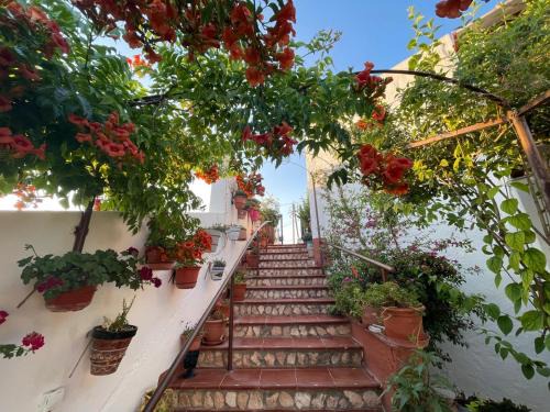 Bacor House | Las cuevas de María