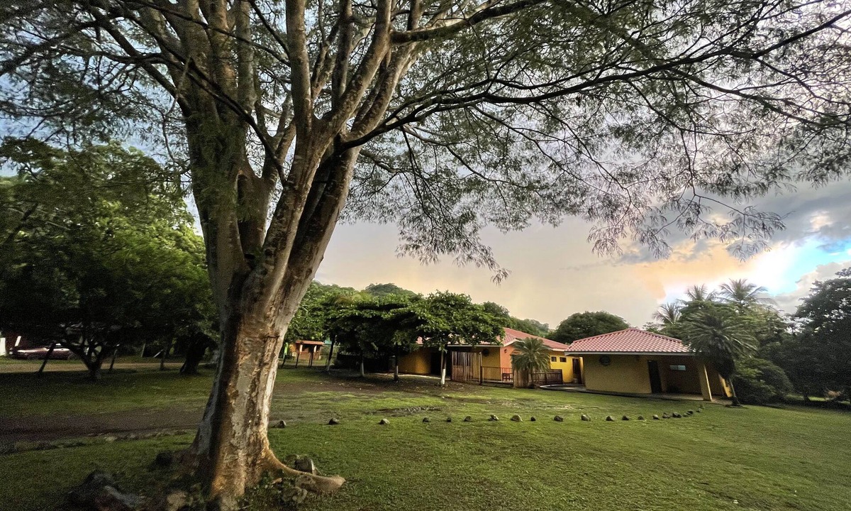Coco House | Las Quintas Casas para Vacacionar