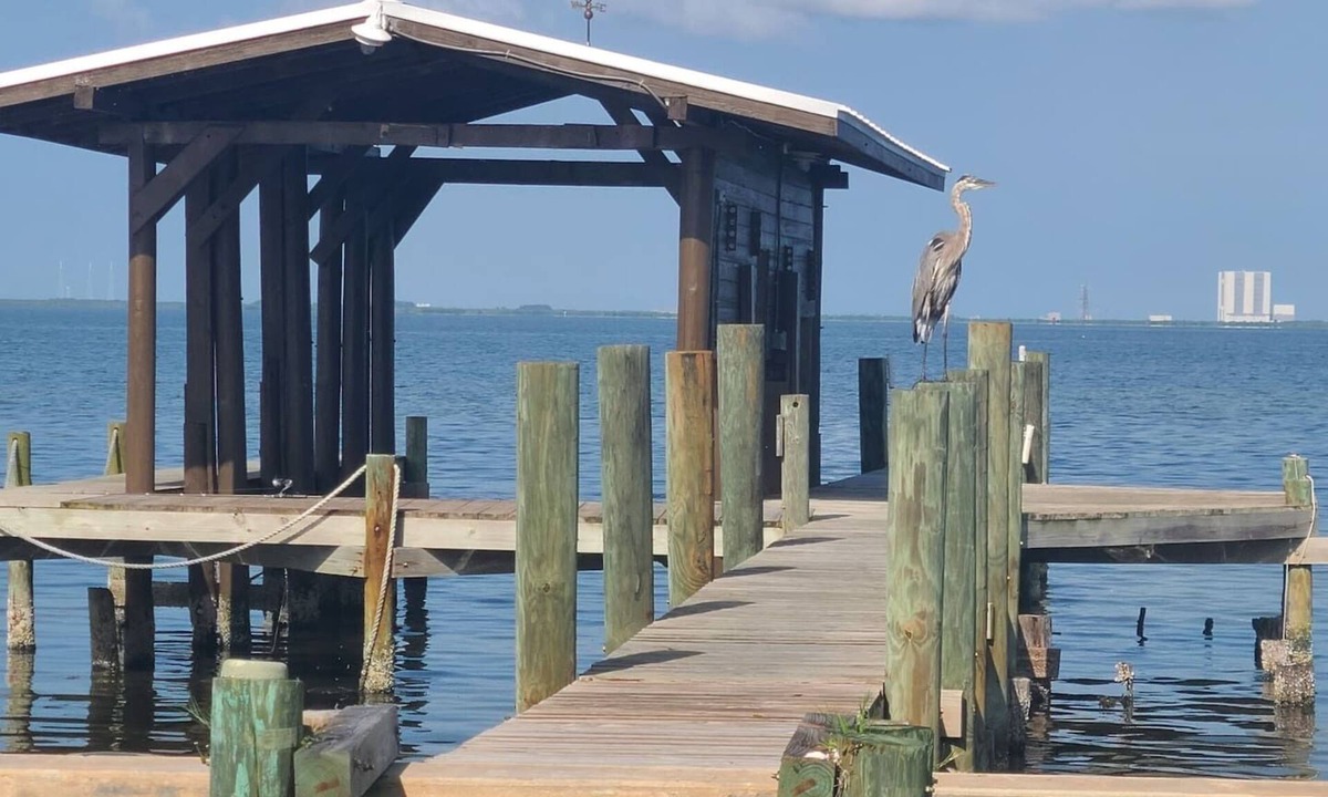 Titusville House | Launch & Lounge: Rocket views, pool and dock
