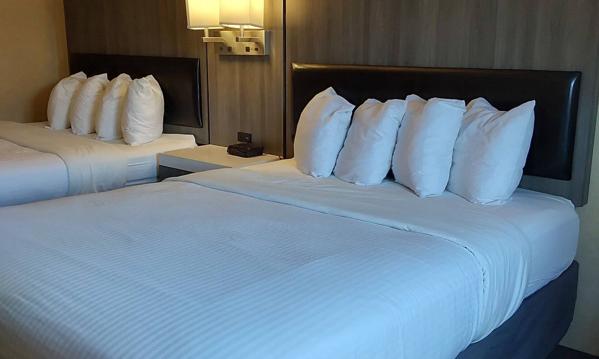 Puget Hotel | Lavissh Inn & Suites
