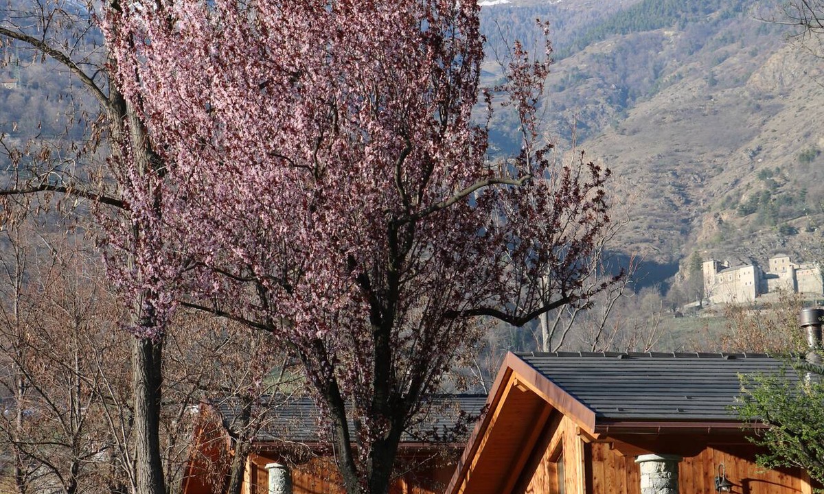 Quart RV Rental | Lazy Bee Camping Village