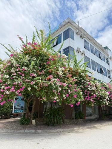 Dong Son Hotel | ld housing 9