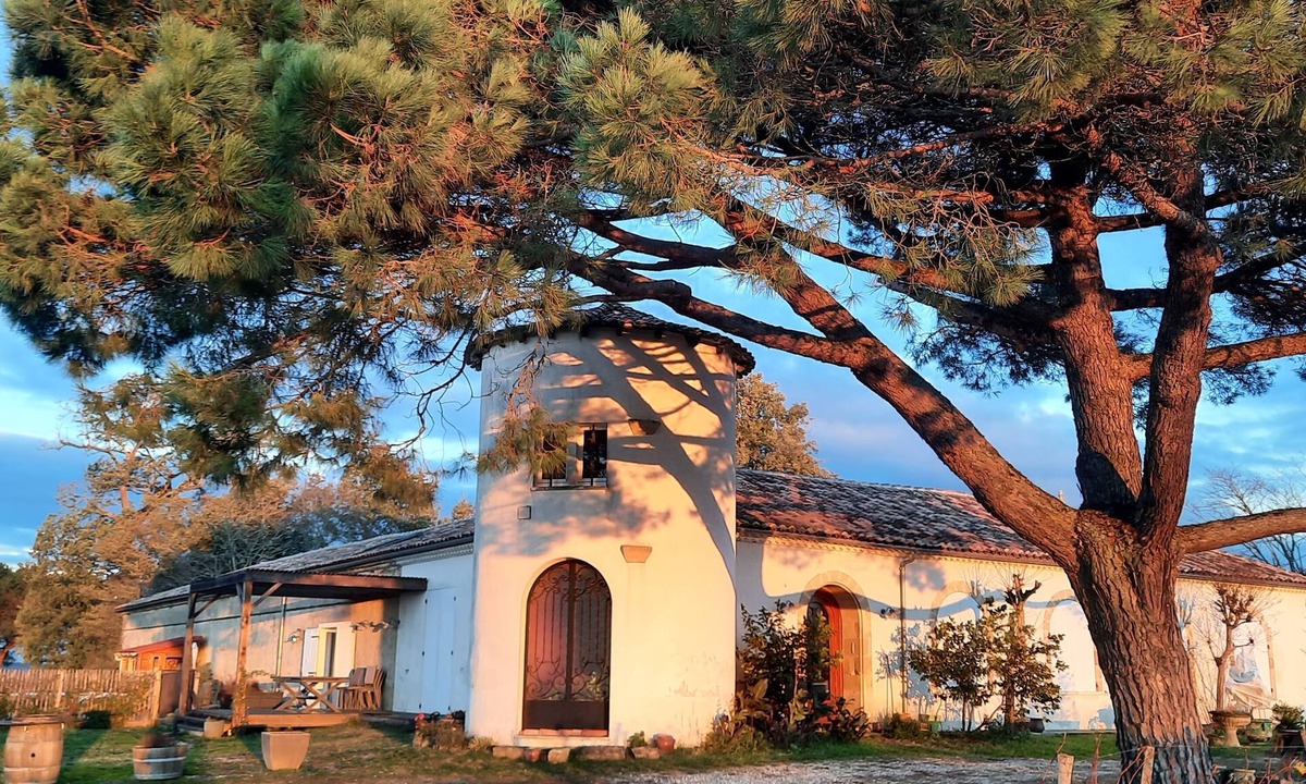 Sauternes Other | Le Castèl de Lamothe - Comfort and modernity amidst vineyards, breathtaking views
