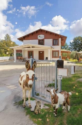 Baiano Bed & Breakfast | LE CERQUE
