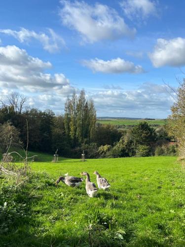 Rinxent Hotel | Le Clos d'Hydrequent