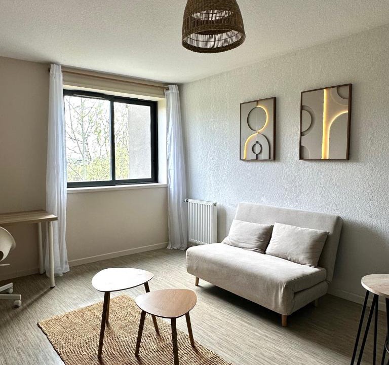 Montaudran - Lespinet Apartment | Le Cocon Griffon - parking, fibre, proche Toulouse