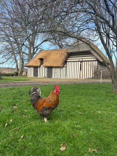 Sainte-Opportune-la-Mare Bed & Breakfast | Le Domaine Caribou