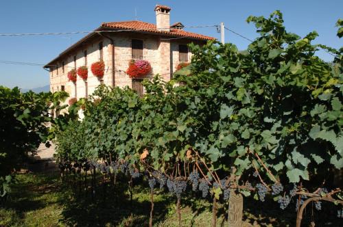 Susegana House | Le Fade
