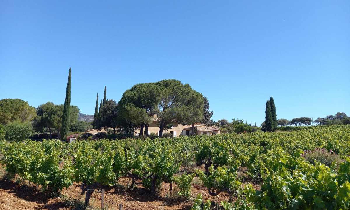 Saint-Hippolyte-le-Graveyron House | Les Lausiers, an exceptional view between Ventoux and Dentelles de Montmirail