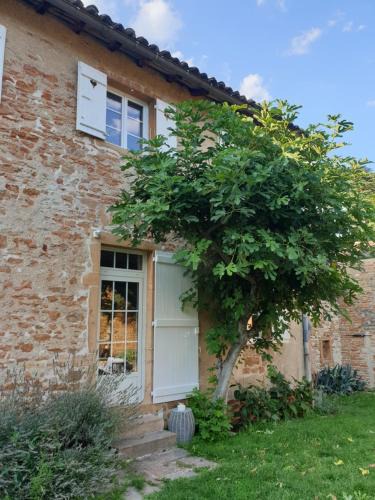 Charnay-les-Macon House | LE GITE DU CARGE D'ARLAY
