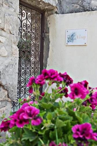 Casa Papa House | Le Lumie