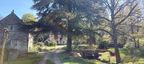 Saint-Georges-sur-Cher Bed & Breakfast | Le moulin du Mesnil