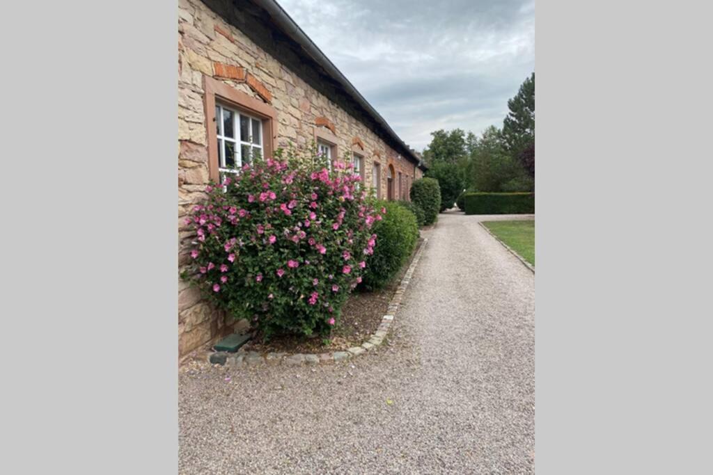 Gresswiller Apartment | LE MOULIN DE GRESSWILLER