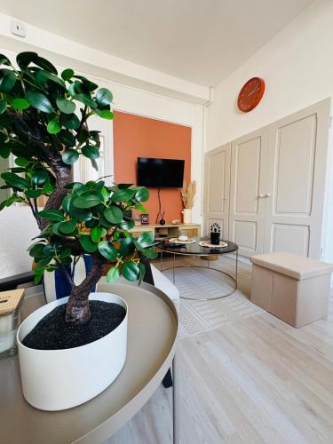 Castres Apartment | Le Petit Boursiers - hyper centre