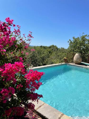 Vogue Bed & Breakfast | Le petit Mas