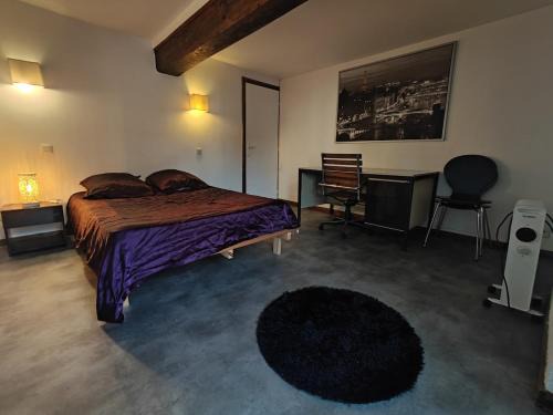 Up 1.5 Saint-Ferreol Apartment | Le polygone wifi parking proche