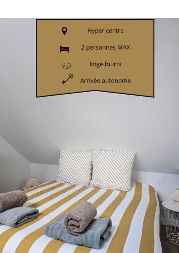 Chateau-Gontier Apartment | Le Ptit nid Cocon au cœur du centre ville