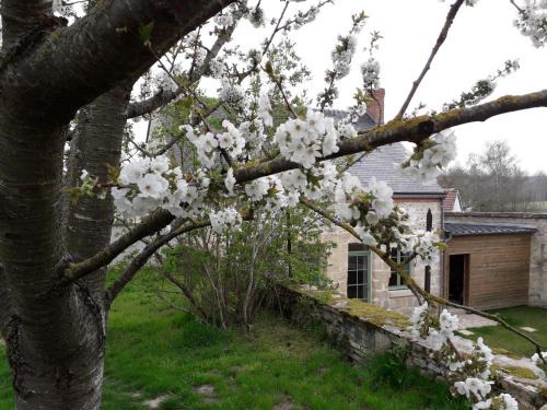 Revillon Bed & Breakfast | LE RELAIS