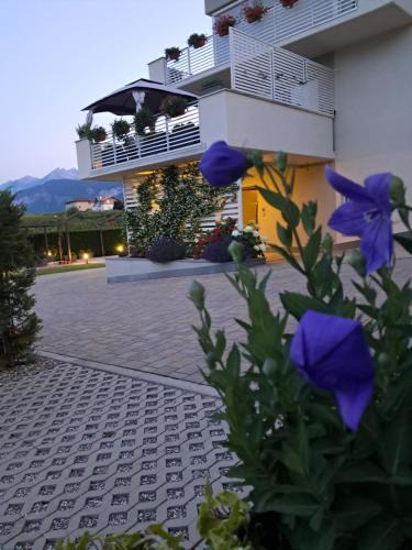 Tassullo Bed & Breakfast | Le Rocce Val di Non - Quality Room & Breakfast